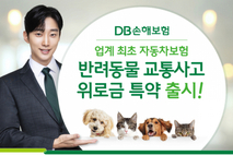 '걱정마시개' DB손해보험, 반려동물 보험 출시
