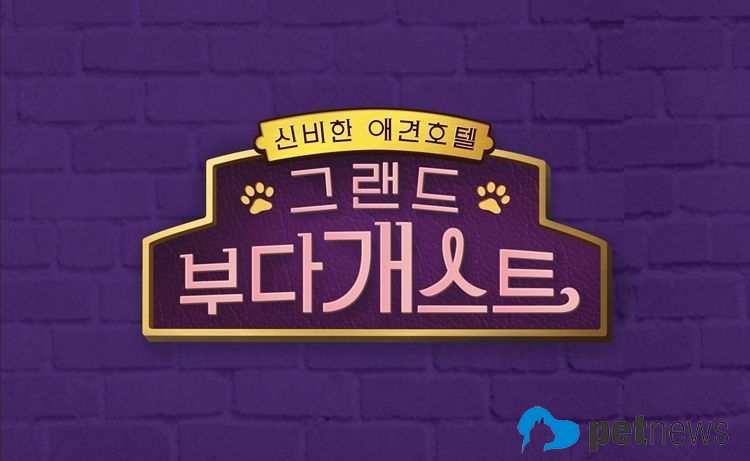 JTBC2 '그랜드부다개스트' 로고 (사진=JTBC 제공)