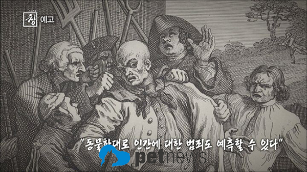 KBS1 '시사기획 창-동물학대와 인간' 편 (사진=KBS 제공)