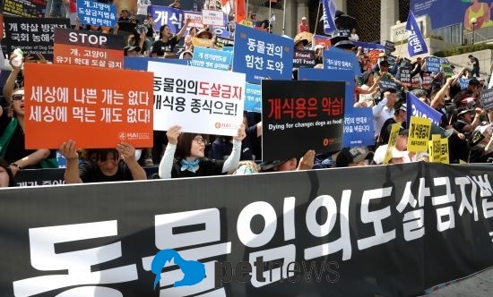 11일 오후 서울 세종문화회관 계단 앞에서 동물유관단체협의회 주최로 열린 '동물 임의도살 금지법 제정을 촉구하는 국민 대집회'에서 참가자들이 구호를 외치고 있다.