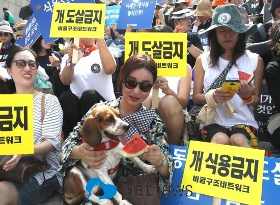 말복인 11일 오후 서울 세종문화회관 계단 앞에서 동물유관단체협의회 주최로 열린 '동물 임의도살 금지법 제정을 촉구하는 국민 대집회'에서 참가자들이 말복에는 수박을 먹자며 수박을 먹고 있다.