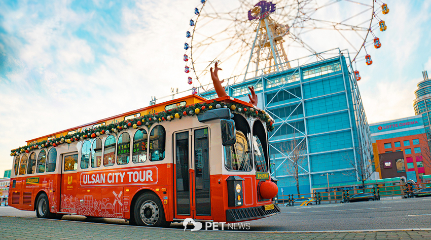 울산시티투어 크리스마스 트롤리 버스. 사진=울산문화관광재단