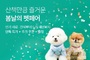 싸게 해주개...컬리, 봄날의 펫페어로 품목 최대 72 할인