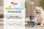 마음놓고 쓰시개...조광페인트, ‘자연N 어디나’ 반려동물 제품 인증 획득