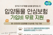 경기도 “유기동물 입양 시 펫보험 무료로 가입”