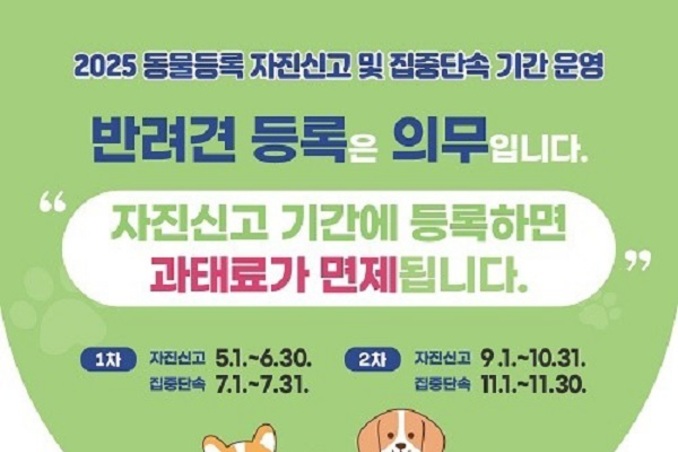 신고하시개...경기도, 동물 등록 자진신고 및 집중단속 실시
