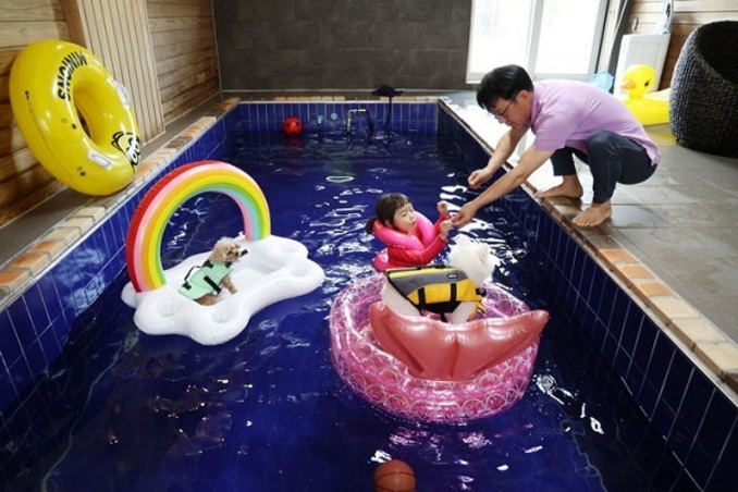 놀러 오시개...태안군, '반려동물 숙박대전' 이벤트