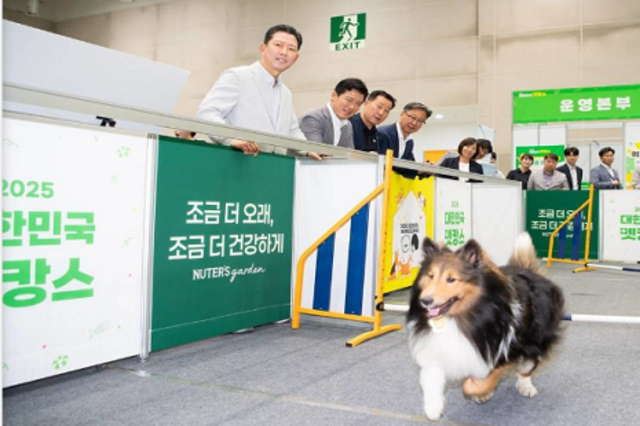 함께 놀개...구미시, 반려동물과 함께하는 ‘2025 펫캉스’ 개최