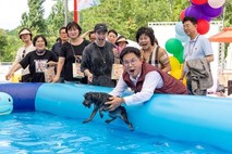 서울 마포구, 반려동물 캠핑장 ‘댕댕이 물놀이장’ 변신