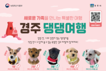 경주로 여행 떠나시개...반려동물 친화축제 ‘경주 댕댕여행’