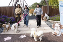에버랜드, 반려견 동반 행사 ‘가을을 함께하개’ 성료