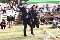 경주시, 식당·카페 내 반려동물 출입 허용