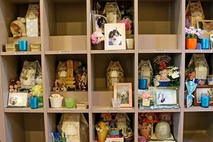 팬 응원 모아 재난 현장으로…임성진, 입대 앞두고 반려견 가구 지원